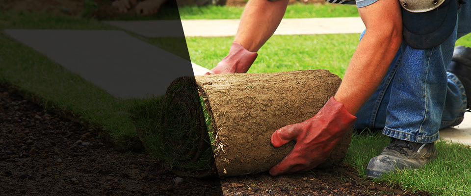 Steubenville Landscapers